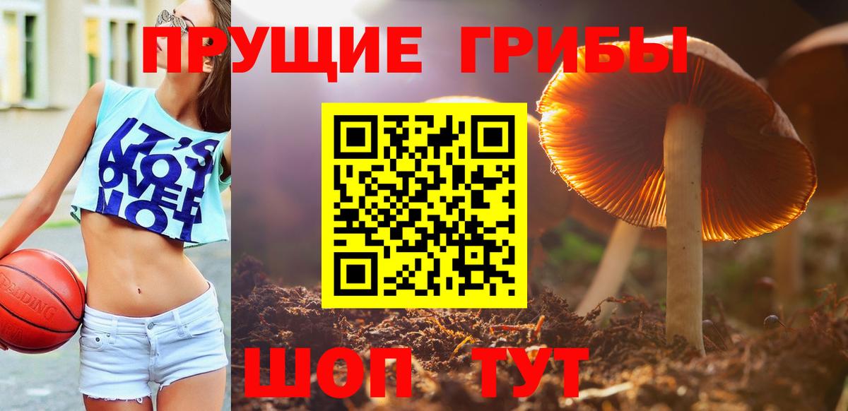 Галлюциногенные грибы Magic Shrooms Рязань